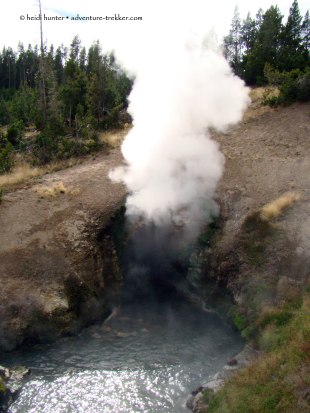 yellowstone mud volcano dragons mouth spring (3)